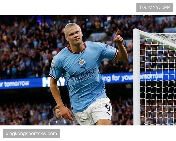 哈兰德与卢卡库：身体型中锋的战术适配性与终结效率差异分析